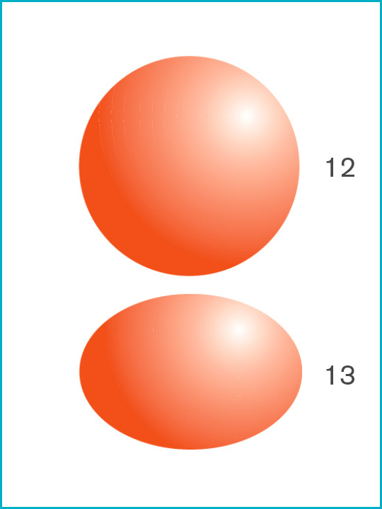 Potential_infectious_bacteria_image