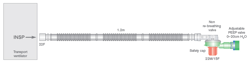 Circuit de transport 22mm annelé, avec valve de non-réinhalation et valve de PEP réglable, pour Pneupac® paraPAC®, ventiPAC® et transPAC™, 1.2m